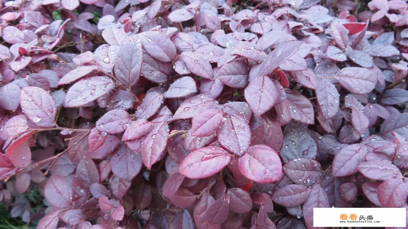 六七月份适合旅游的城市 六七月份适合旅游的城市