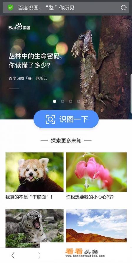 Brave浏览器是如何帮助用户查找已消失的404网页的 Brave浏览器是如何帮助用户查找已消失的404网页的