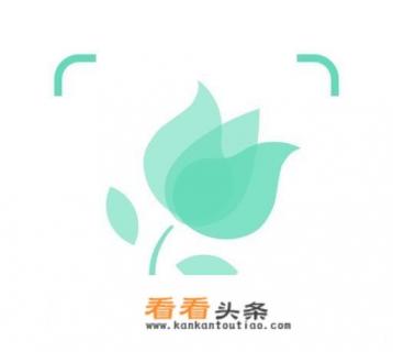 Brave浏览器是如何帮助用户查找已消失的404网页的 Brave浏览器是如何帮助用户查找已消失的404网页的
