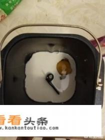 面包机怎样做面包 面包机怎样做面包