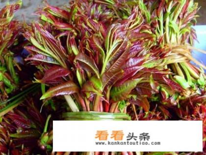 香椿炒鸡蛋前要焯水吗 香椿炒鸡蛋前要焯水吗