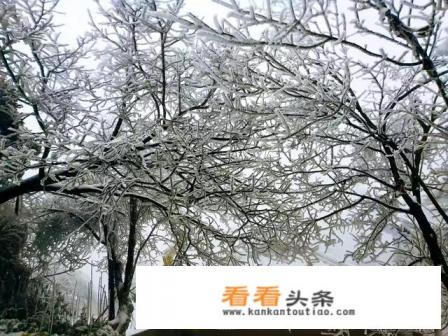 我想和同学去旅游,该怎样邀请他们呢 我想和同学去旅游,该怎样邀请他们呢