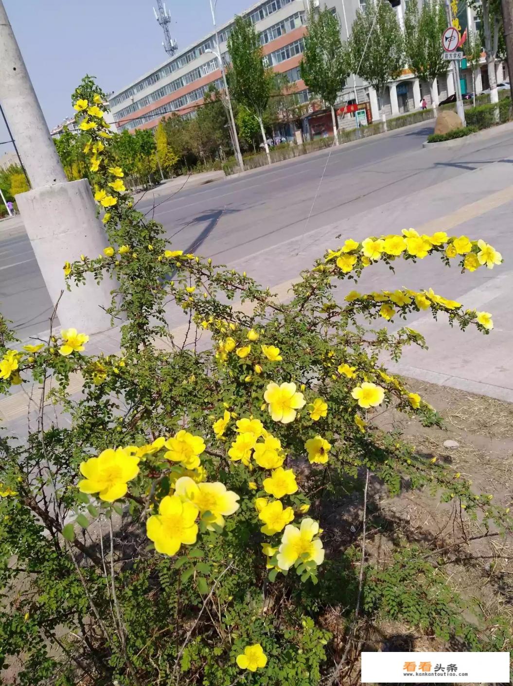 二十年的闺蜜情是一种什么体验