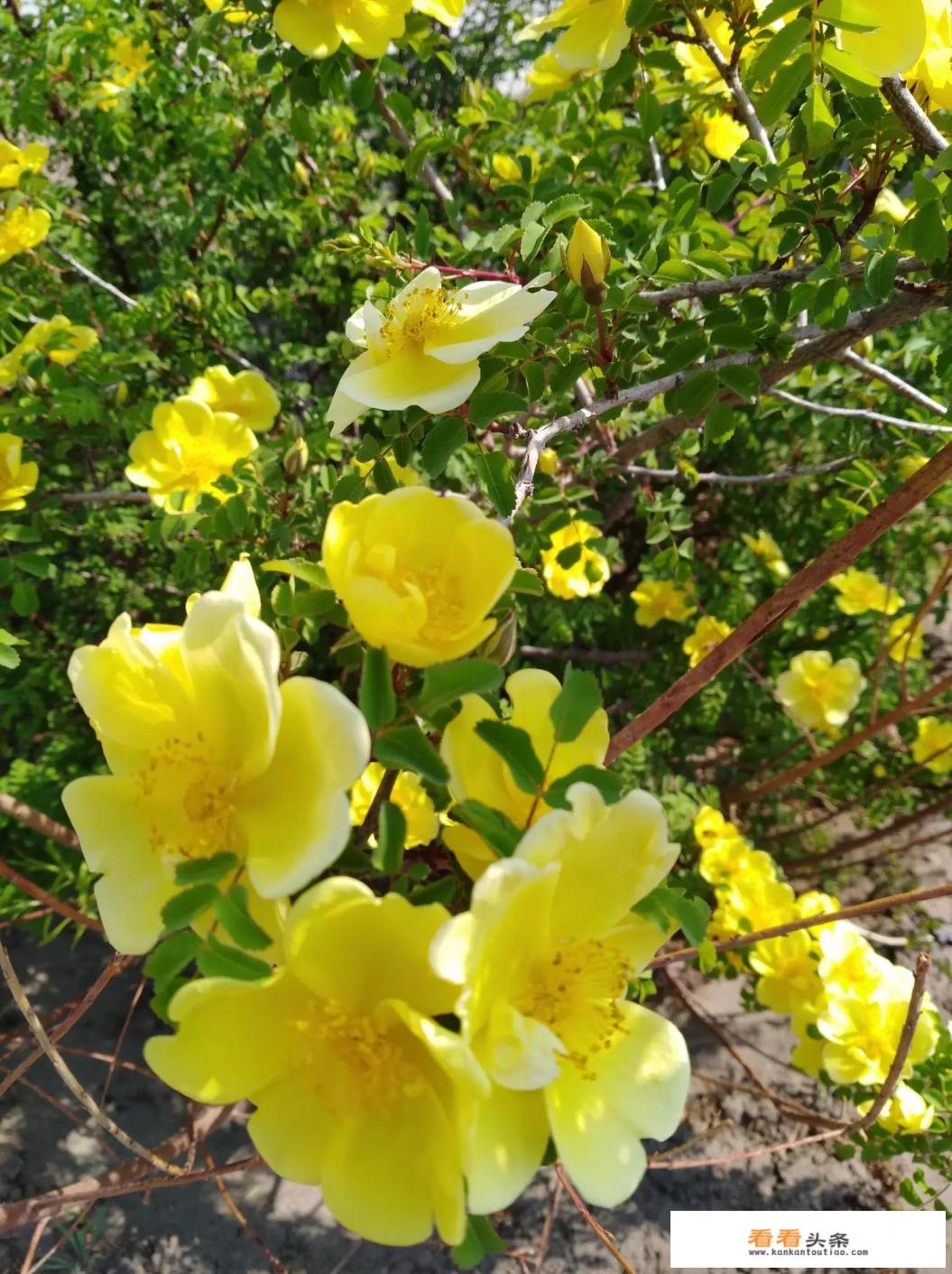 二十年的闺蜜情是一种什么体验