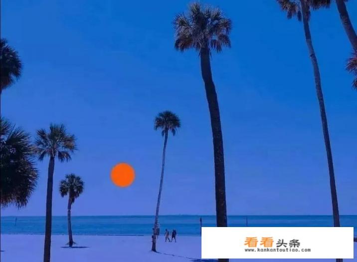 再见爱人是什么综艺 再见爱人是什么综艺