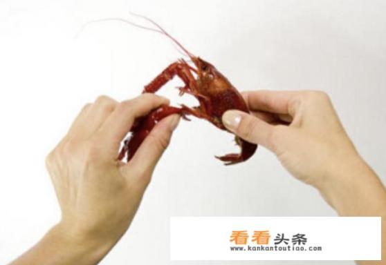 龙虾怎么剥壳的小妙招 龙虾怎么剥壳的小妙招