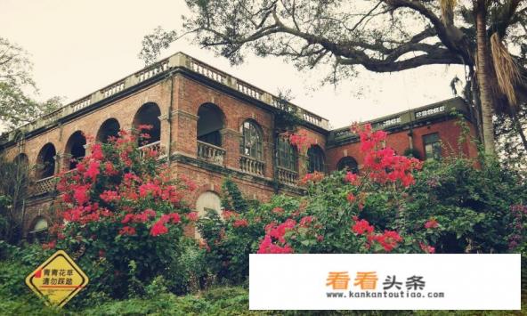 到厦门叁日游,行程该怎么安排合适呢 到厦门叁日游,行程该怎么安排合适呢