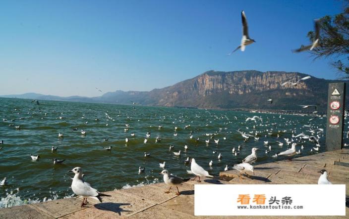 云南国庆七天之旅,有什么推荐的攻略 云南国庆七天之旅,有什么推荐的攻略