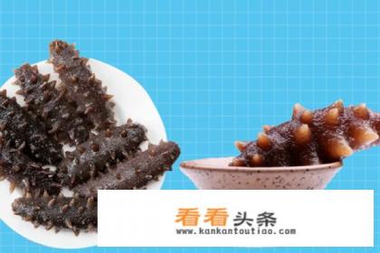 野生海参和养殖海参有什么区别 野生海参和养殖海参有什么区别