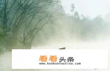 关于夏至的诗句简短 关于夏至的诗句简短