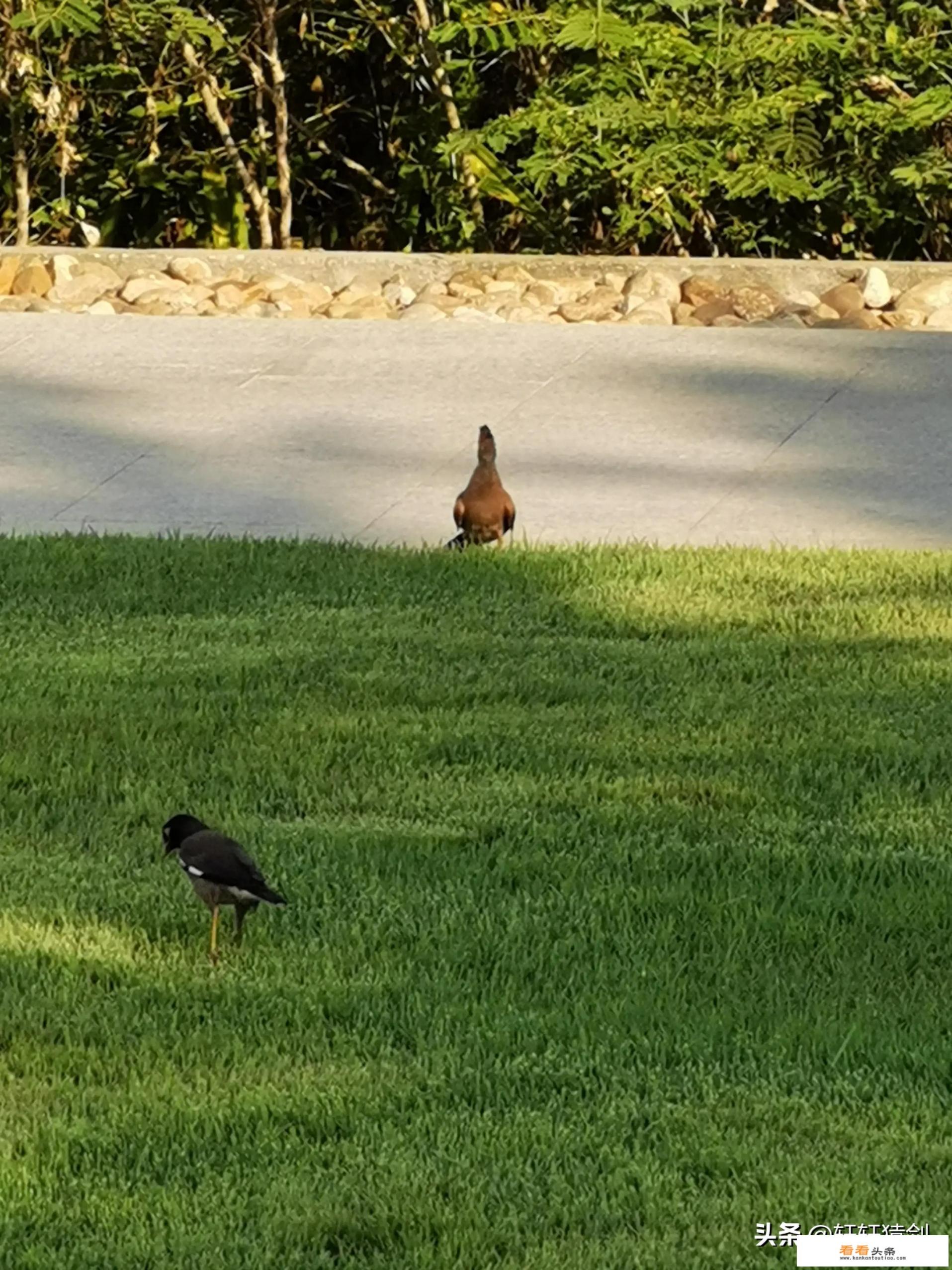 有什么好看的欧美电影可以推荐吗 有什么好看的欧美电影可以推荐吗