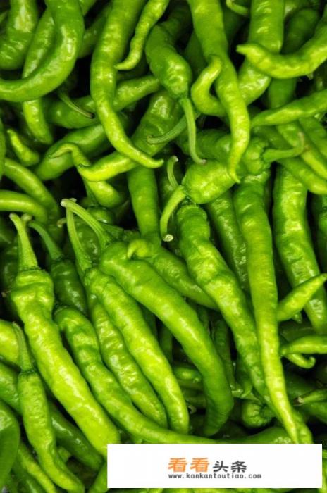 我想知道什么样的菜又好吃又下饭又不贵,有推荐的吗 我想知道什么样的菜又好吃又下饭又不贵,有推荐的吗