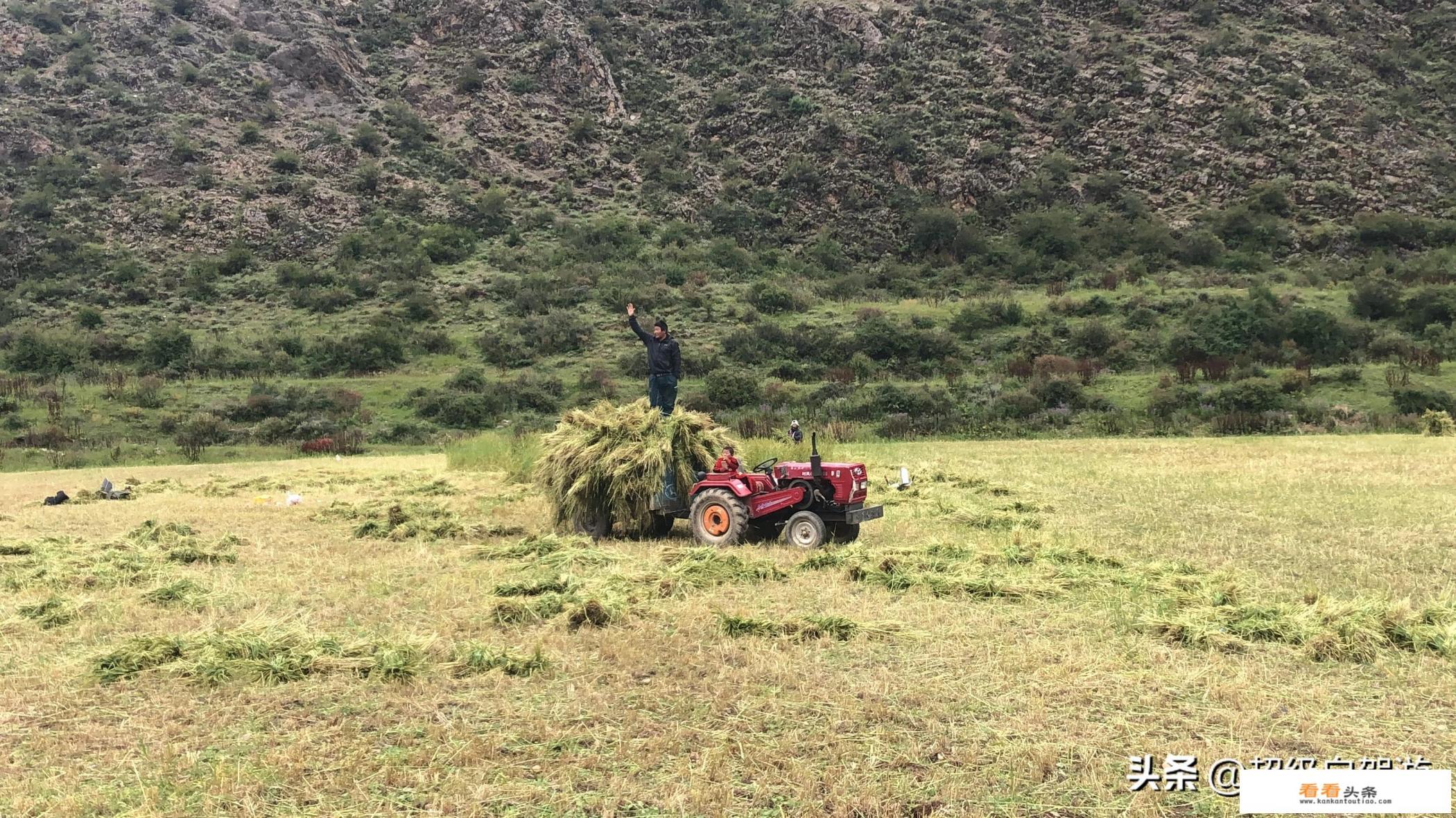 广元到若尔盖自驾游怎么走近 广元到若尔盖自驾游怎么走近