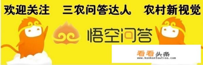 茅台藏酒洞景点