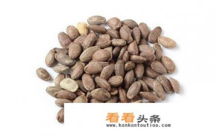 野生瓜蒌子的功效和作用是什么