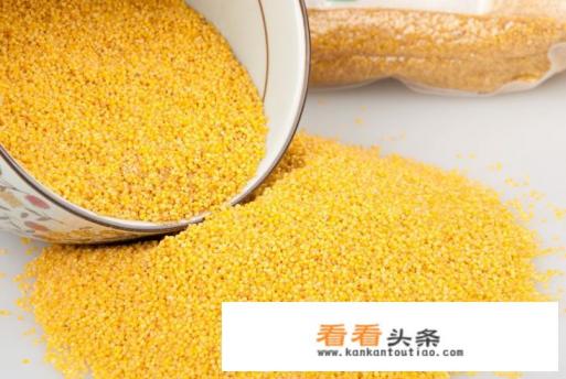 小米与粟米的图片区别