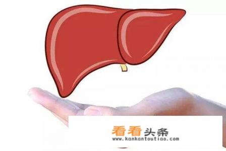 养肝最好的方式是什么