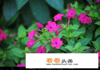 夏日养生小常识你get到了吗？你怎么看