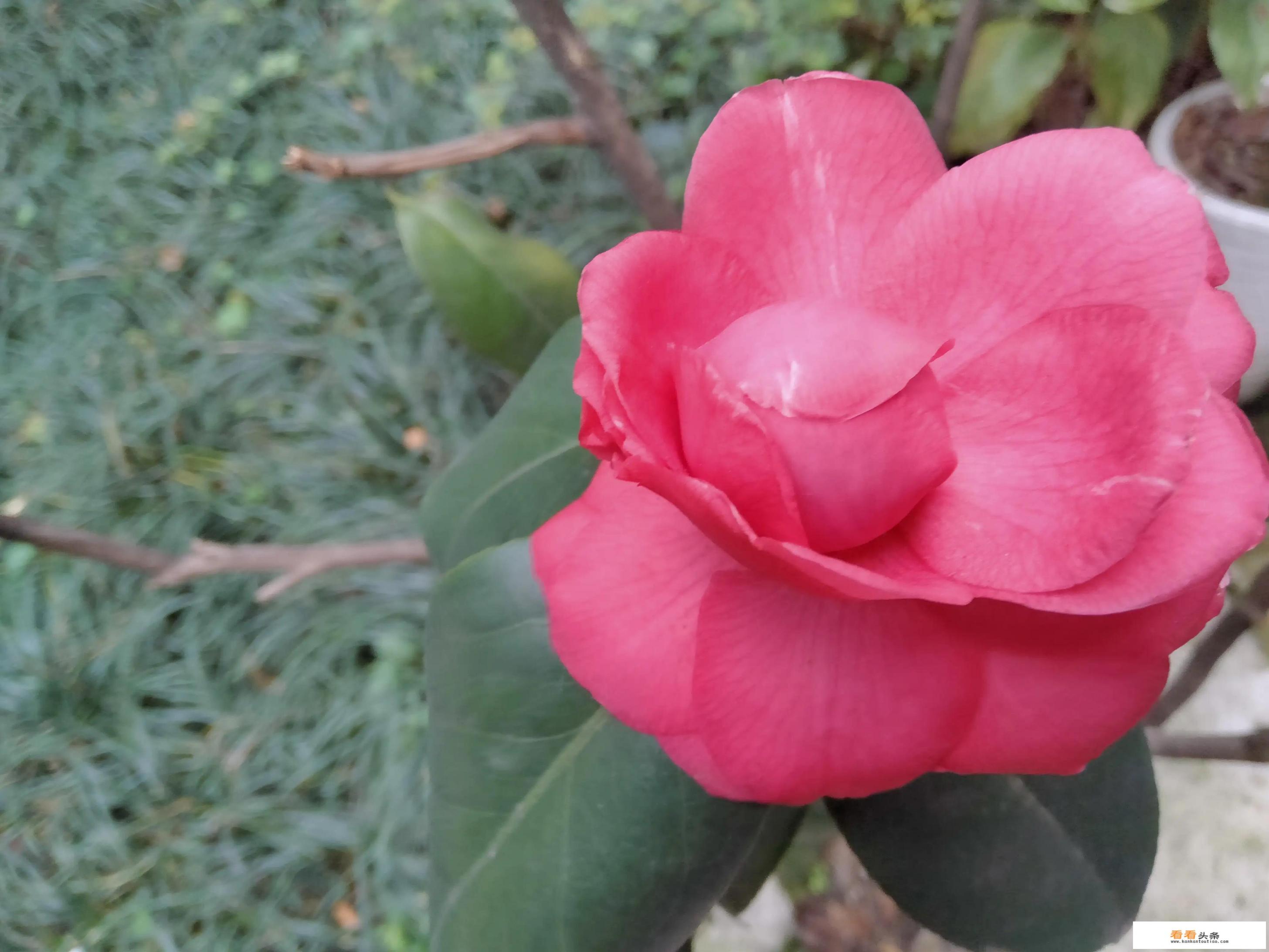 失眠够久了，有什么办法能快速入睡