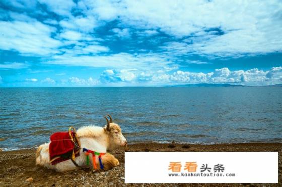 银川带娃旅游攻略