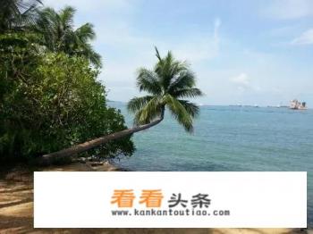 新加坡旅游七天大概要花费多少钱？包括签证、食宿、交通等