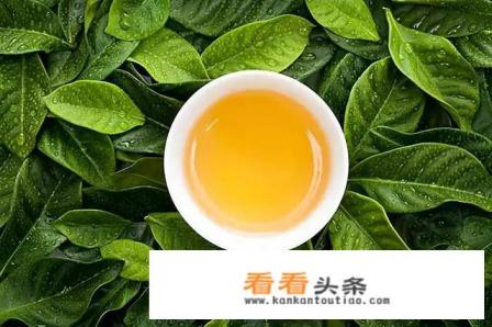 喝什么茶叶减肥快