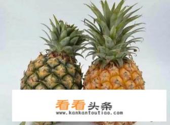 凤梨和菠萝有区别吗，为什么感觉长得一样却叫两个名字