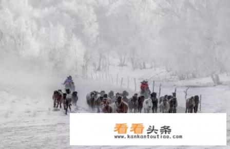 11月份去哪里旅行好？有什么好推荐