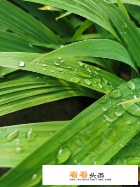 冰箱里的冰全部融化了了还很烫 冰箱里的冰全部融化了了还很烫