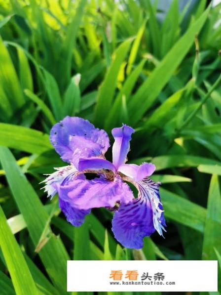 冰箱里的冰全部融化了了还很烫 冰箱里的冰全部融化了了还很烫