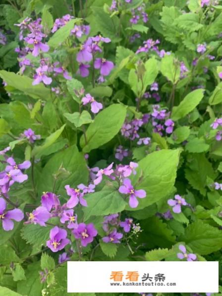 冰箱里的冰全部融化了了还很烫 冰箱里的冰全部融化了了还很烫