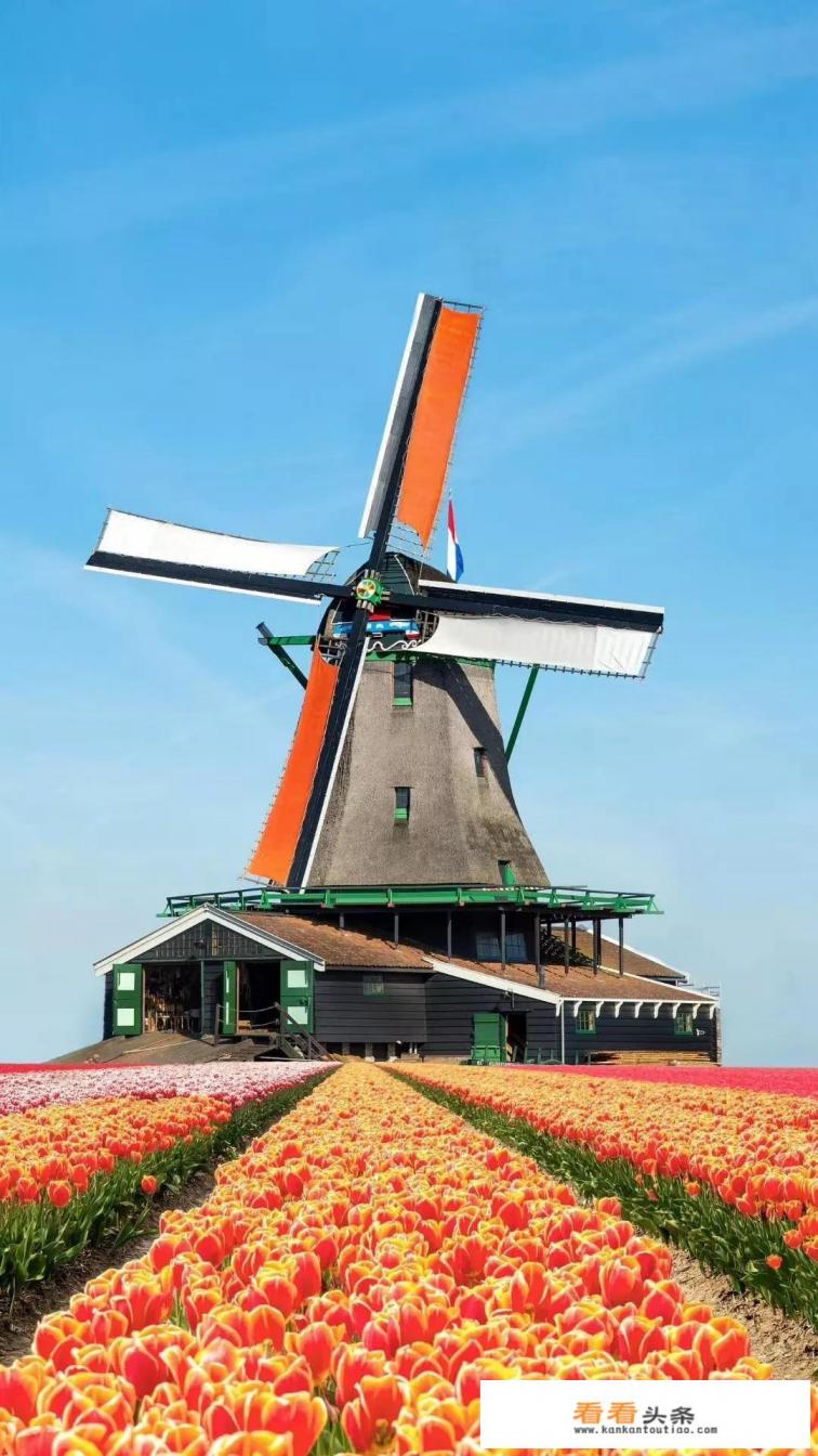 夺心魔虫桌游玩法 夺心魔虫桌游玩法