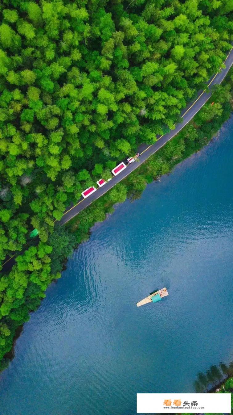 夺心魔虫桌游玩法 夺心魔虫桌游玩法