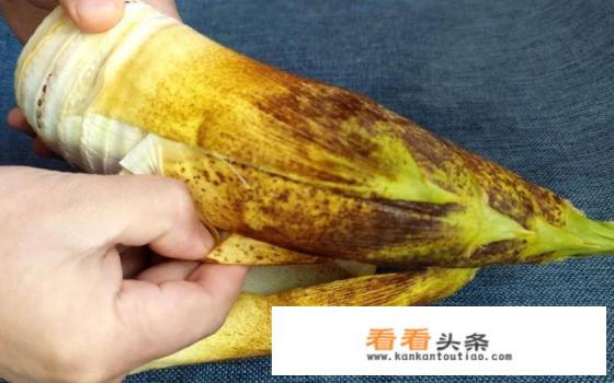 笋尖怎么处理