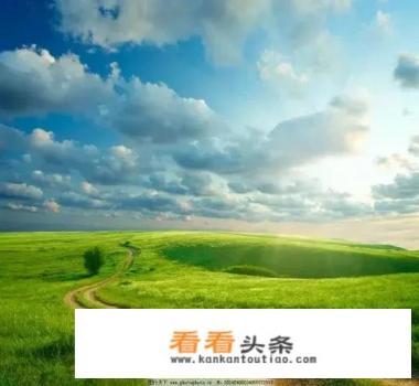 有什么可以领红包的游戏