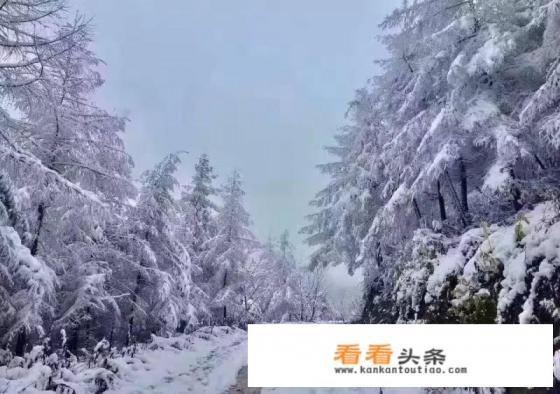 湖南冬天去哪里玩湖南冬天有什么好玩的地方 湖南冬天去哪里玩湖南冬天有什么好玩的地方