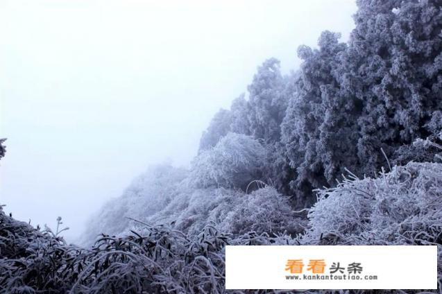 湖南冬天去哪里玩湖南冬天有什么好玩的地方 湖南冬天去哪里玩湖南冬天有什么好玩的地方