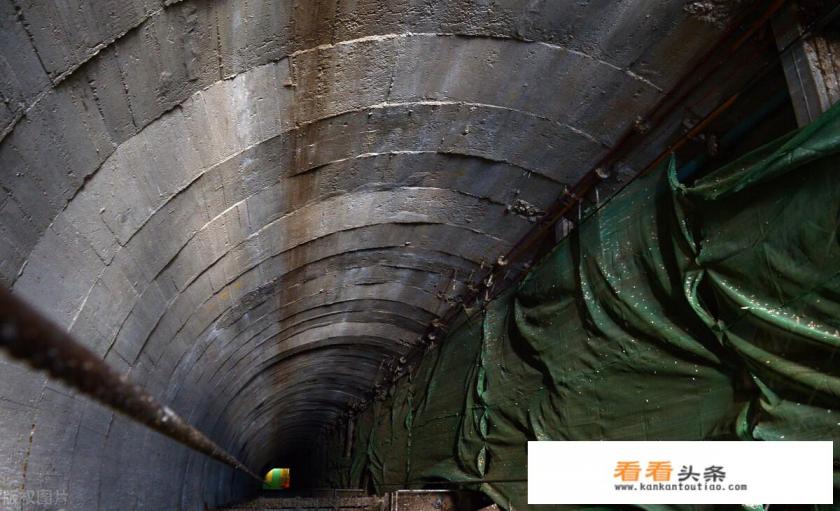 落樱小屋樱旅怎么过 落樱小屋樱旅怎么过