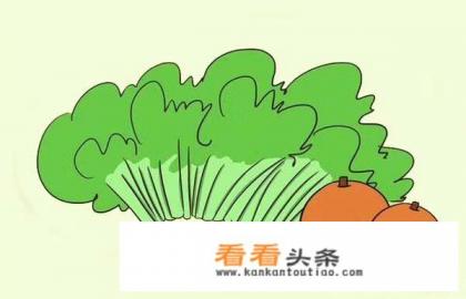 在怀孕早期的时候吃什么样的蔬菜好消化 在怀孕早期的时候吃什么样的蔬菜好消化