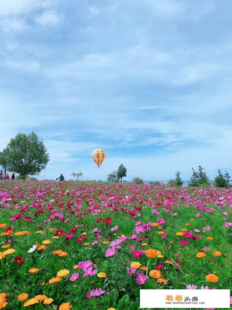 8月青海湖拍照穿衣攻略 8月青海湖拍照穿衣攻略