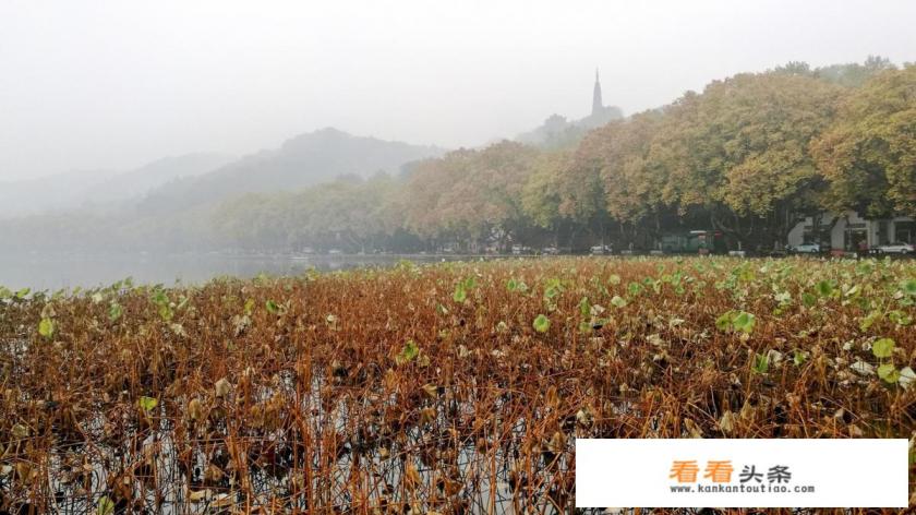 十一月底去杭州西湖怎么样,风景美吗 十一月底去杭州西湖怎么样,风景美吗