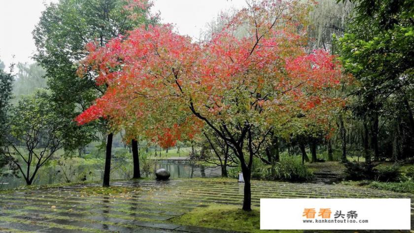 十一月底去杭州西湖怎么样,风景美吗 十一月底去杭州西湖怎么样,风景美吗