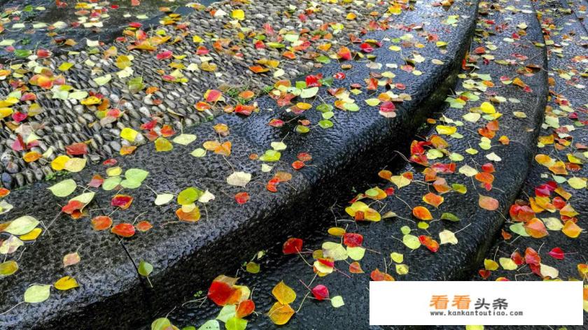 十一月底去杭州西湖怎么样,风景美吗 十一月底去杭州西湖怎么样,风景美吗