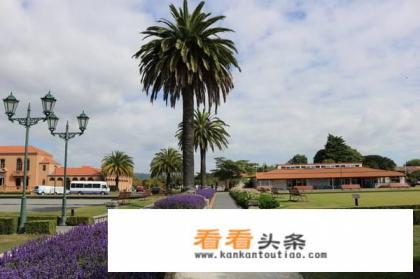 计划二月去新西兰旅游,去过的朋友可以给点建议吗 计划二月去新西兰旅游,去过的朋友可以给点建议吗