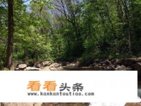 如果可以选择,抚顺、朝阳、丹东和盘锦葫芦岛,你会选择住在哪里,为什么 如果可以选择,抚顺、朝阳、丹东和盘锦葫芦岛,你会选择住在哪里,为什么