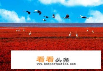 如果可以选择,抚顺、朝阳、丹东和盘锦葫芦岛,你会选择住在哪里,为什么 如果可以选择,抚顺、朝阳、丹东和盘锦葫芦岛,你会选择住在哪里,为什么