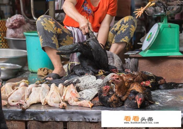 柬埔寨消费怎么样