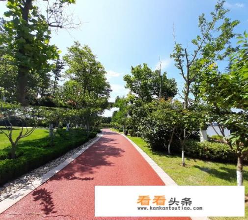 每次的旅行,给你的快乐与感悟是什么?你会回想起过往吗 每次的旅行,给你的快乐与感悟是什么?你会回想起过往吗