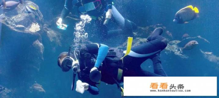 去哪儿旅行的意外险怎么取消 去哪儿旅行的意外险怎么取消