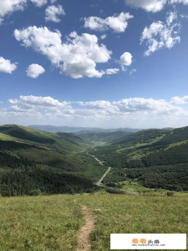 穿绿色裙子在草原拍照好看吗